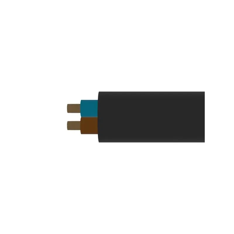 CGSG 2x1 (H05RR-F 300/500V 2x1)