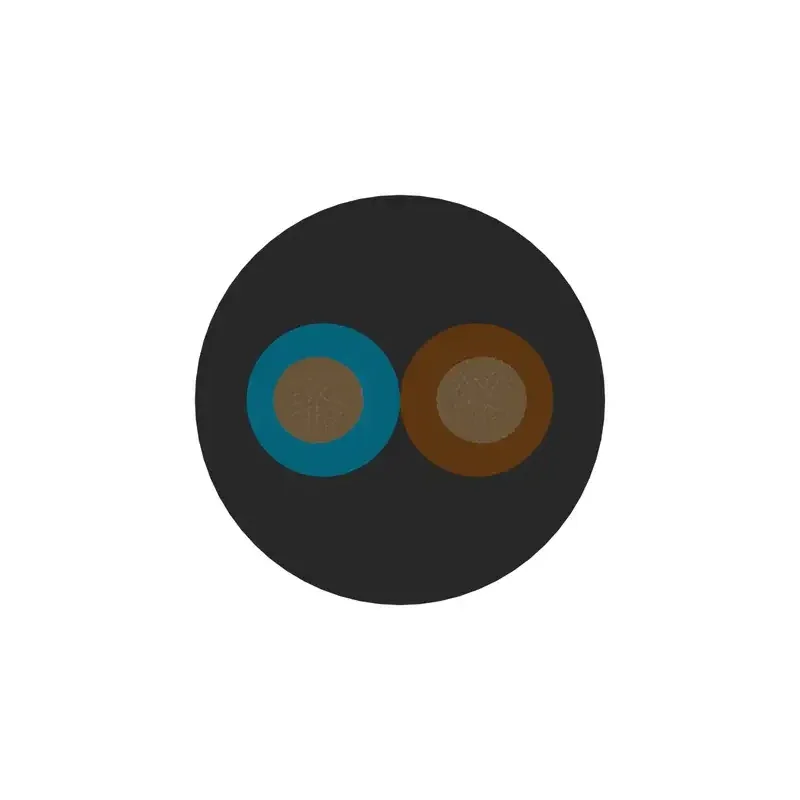 CGSG 2x1 (H05RR-F 300/500V 2x1)