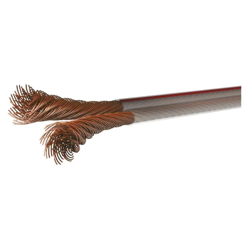 TLYP (SCY) H03VH-H 2x4 mm² priehľadný