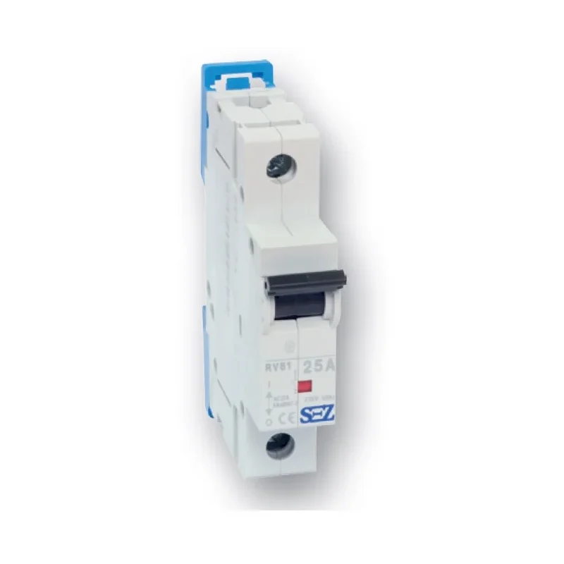 RV 61 25A RV 61 25A