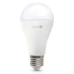 004300 - LED žiarovka GS 22W E27 6500K Kobi