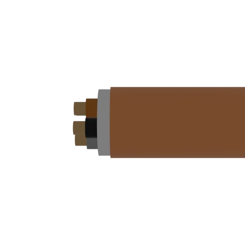 1-CXKH-R-J 5x6 mm2 B2ca s1