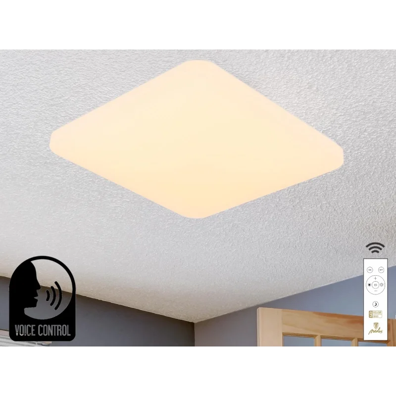 LED stropná lampa OPAL + DO + OVLÁDANIE HLASOM 48W - LC902S/SV
