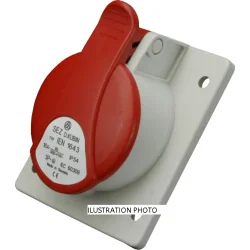 IEN 3243 - 10004774.00